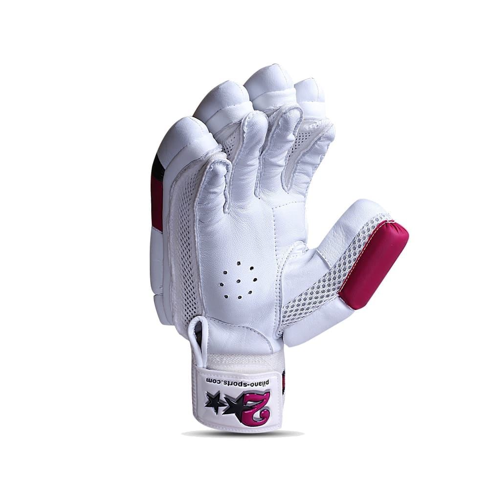 HS 2 Star Batting Gloves 2
