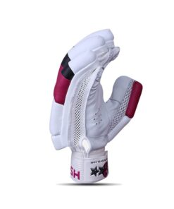 HS 2 Star Batting Gloves 3