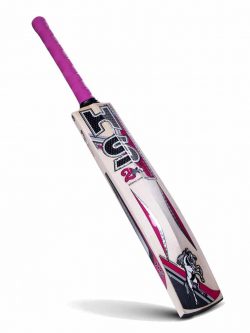 HS 2 Star - English Willow Bat Cricket