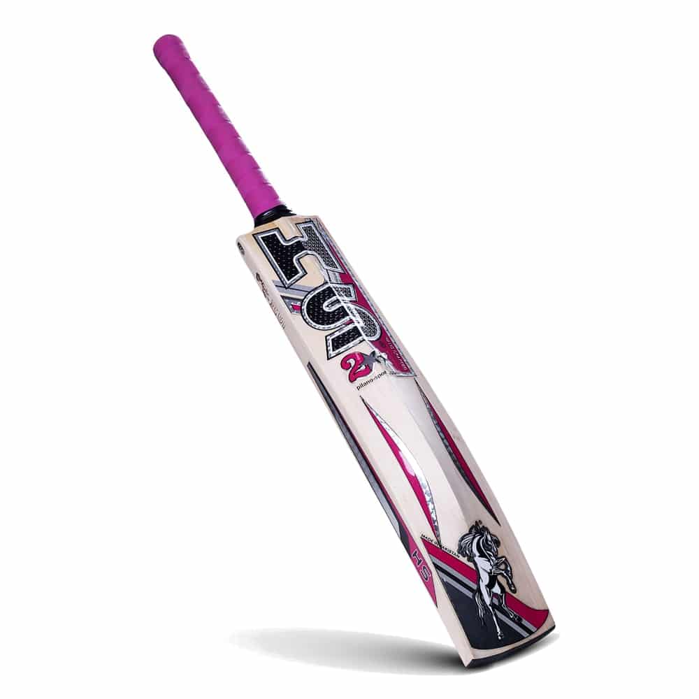HS 2 Star - English Willow Bat Cricket