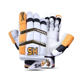 HS 41 Batting Gloves Pair - Babar Azam Edition