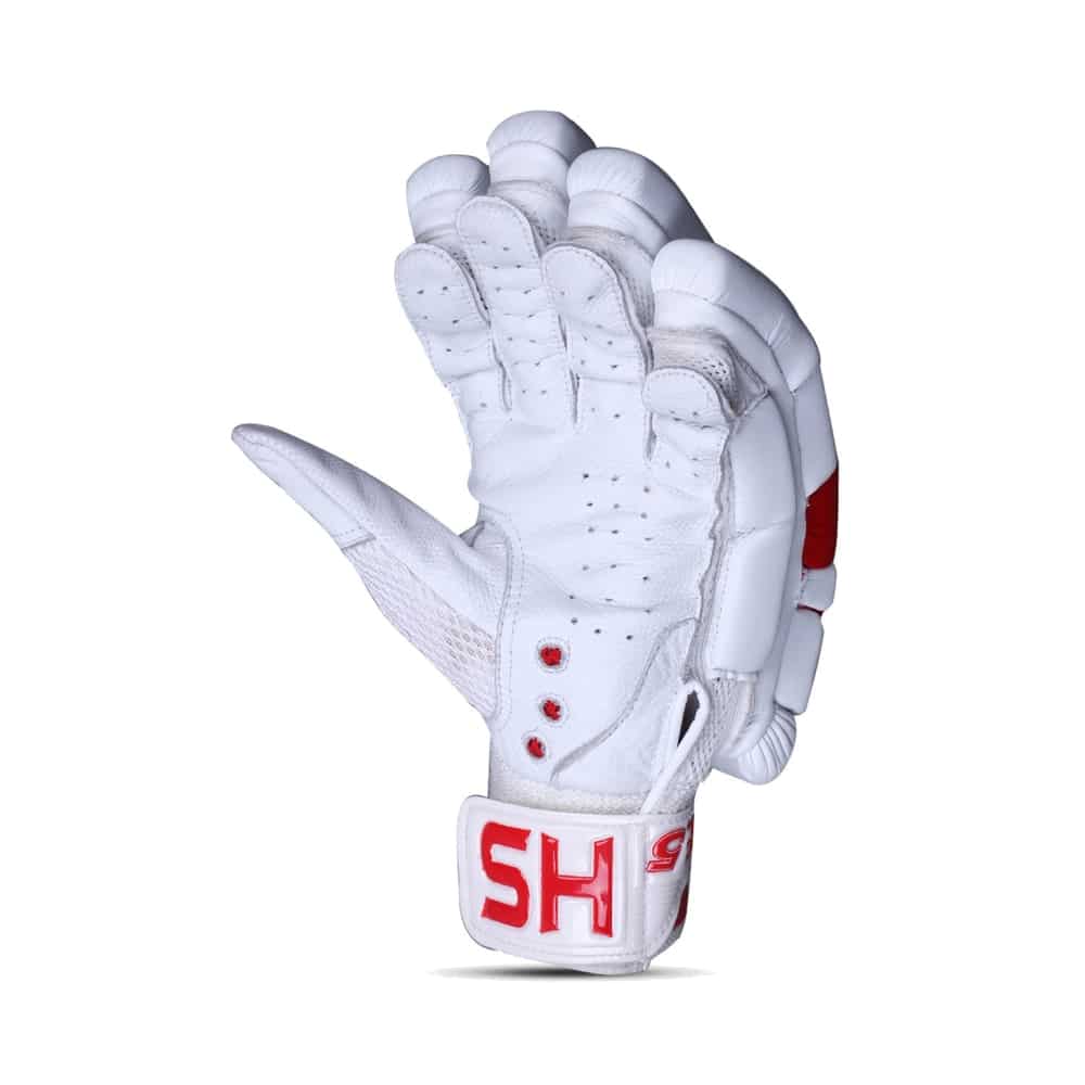 HS Core 5 Batting Gloves