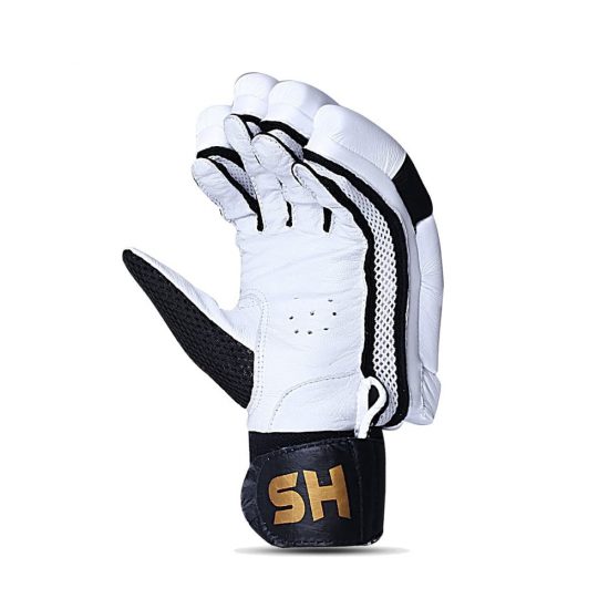 HS T20 Batting Gloves