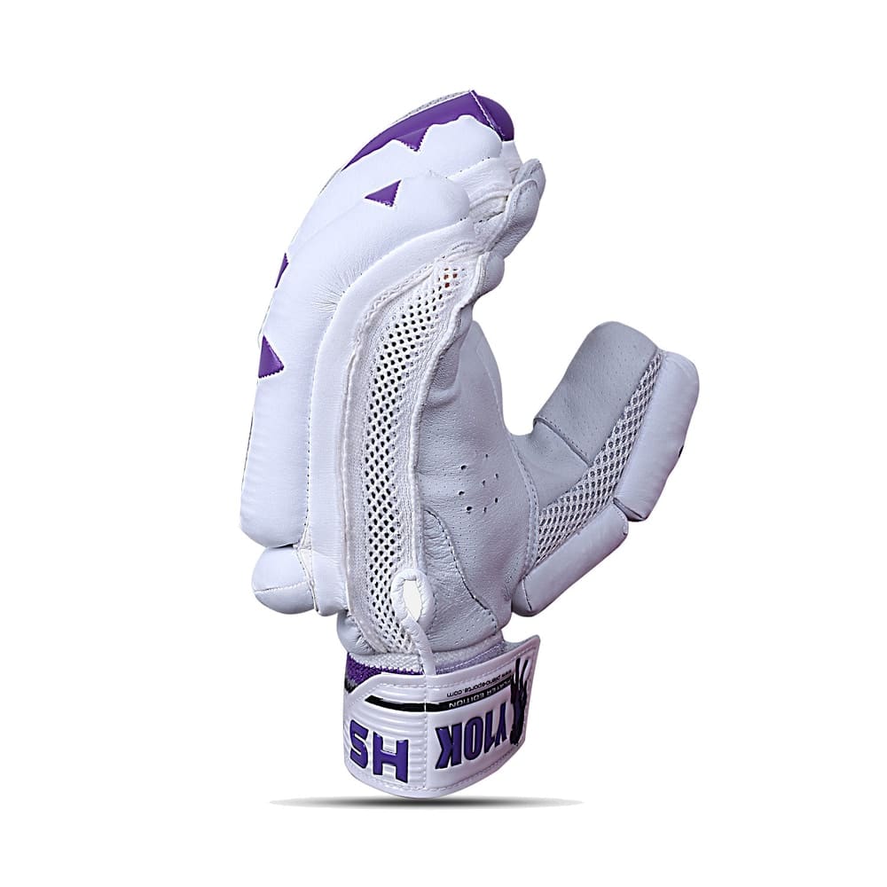 HS Y10K Batting Gloves for Cricket