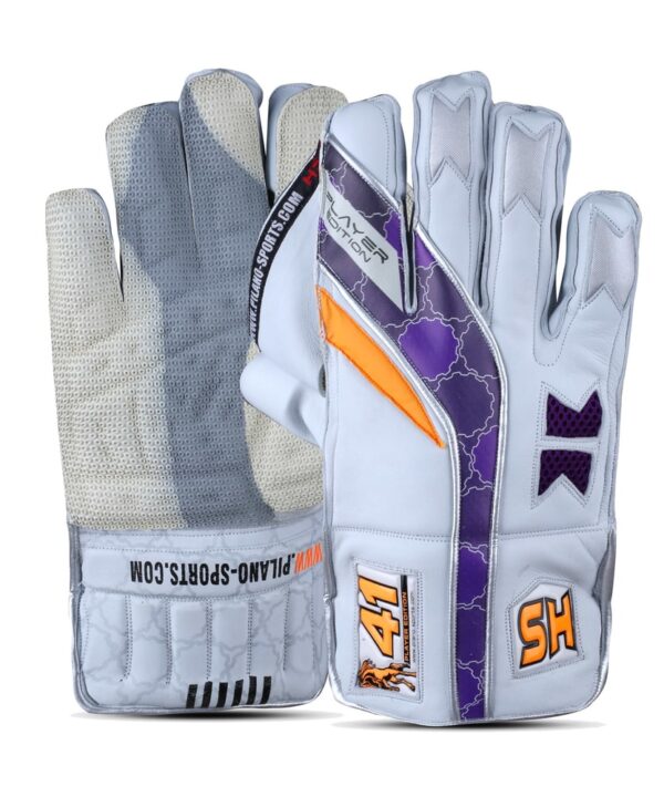 HS 41 Wicket Keeping Gloves