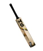 HS 41 Pro Edition English Willow Bat