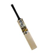 HS 41 Pro Edition English Willow Bat