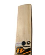 HS 41 Pro Edition English Willow Bat