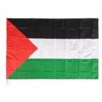 Palestine Flag 5ft-3ft Online in Pakistan